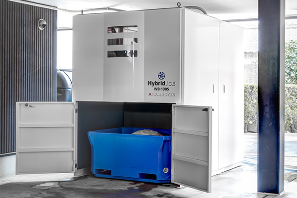 Hybrid ice product image