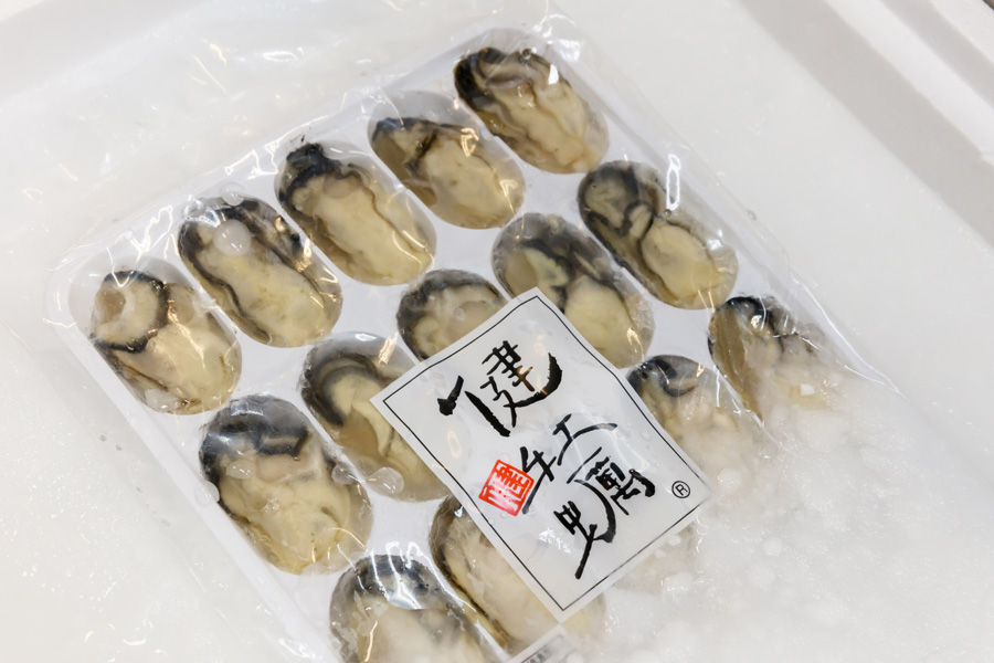 frozen oyster