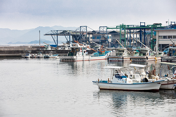 Port