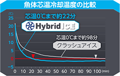 Temperature graph