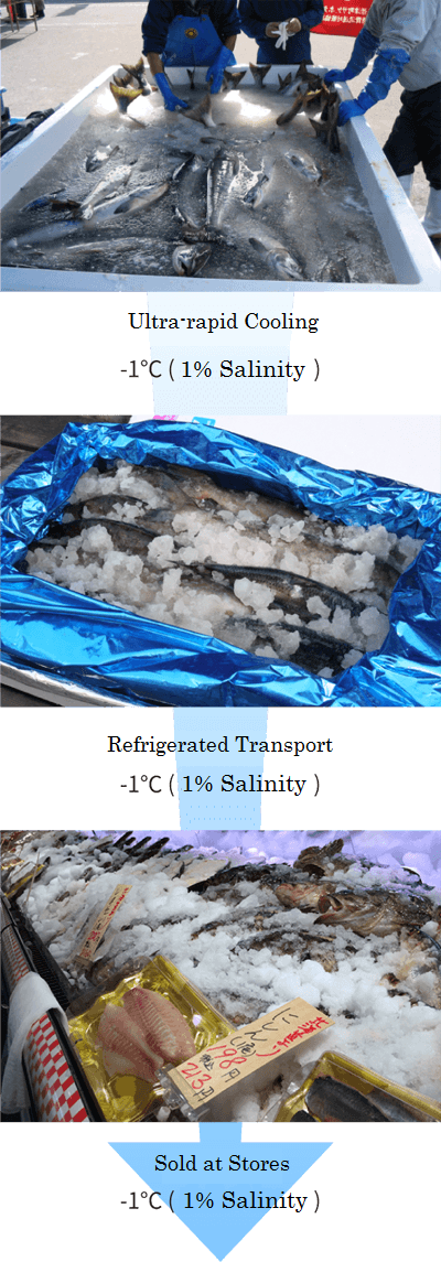 Transport without loosing freshness